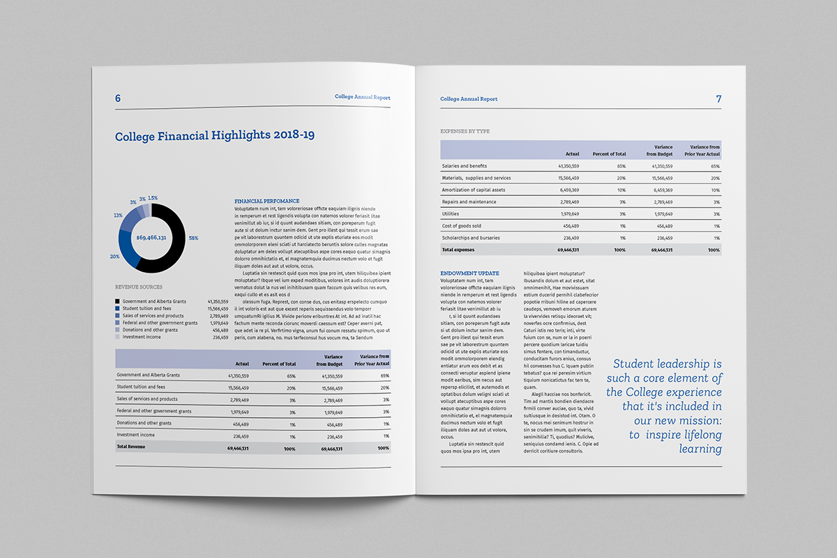 Annual Report Template