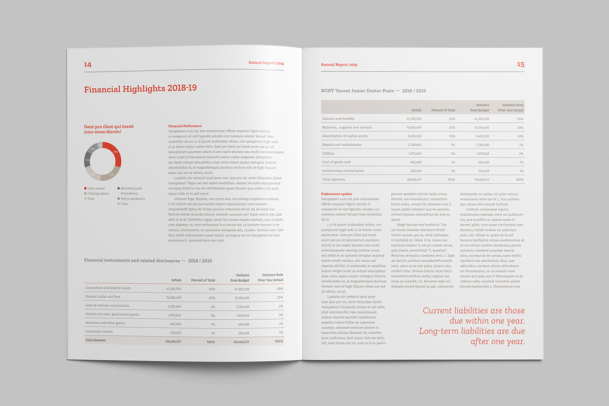 Annual Report Template